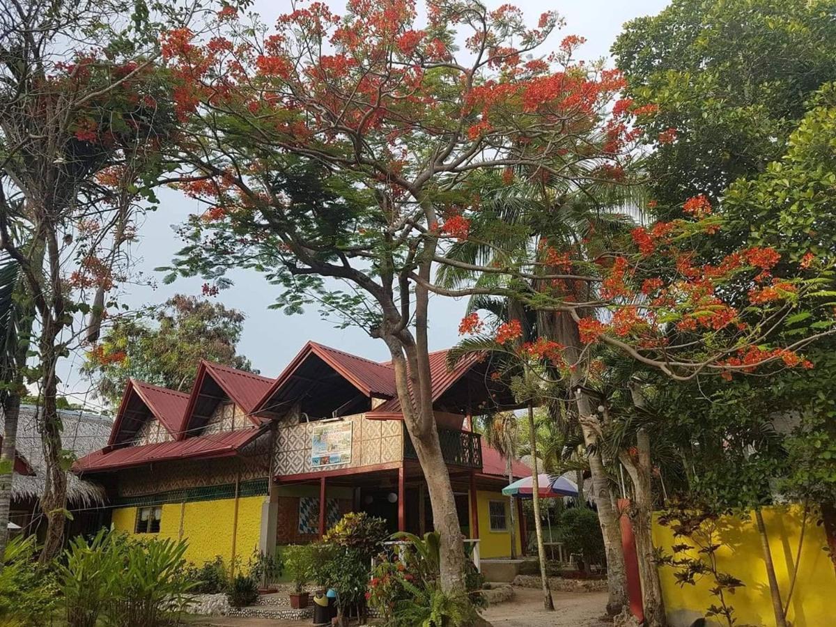 Traville Huts Palm Beach Inn Panglao Esterno foto