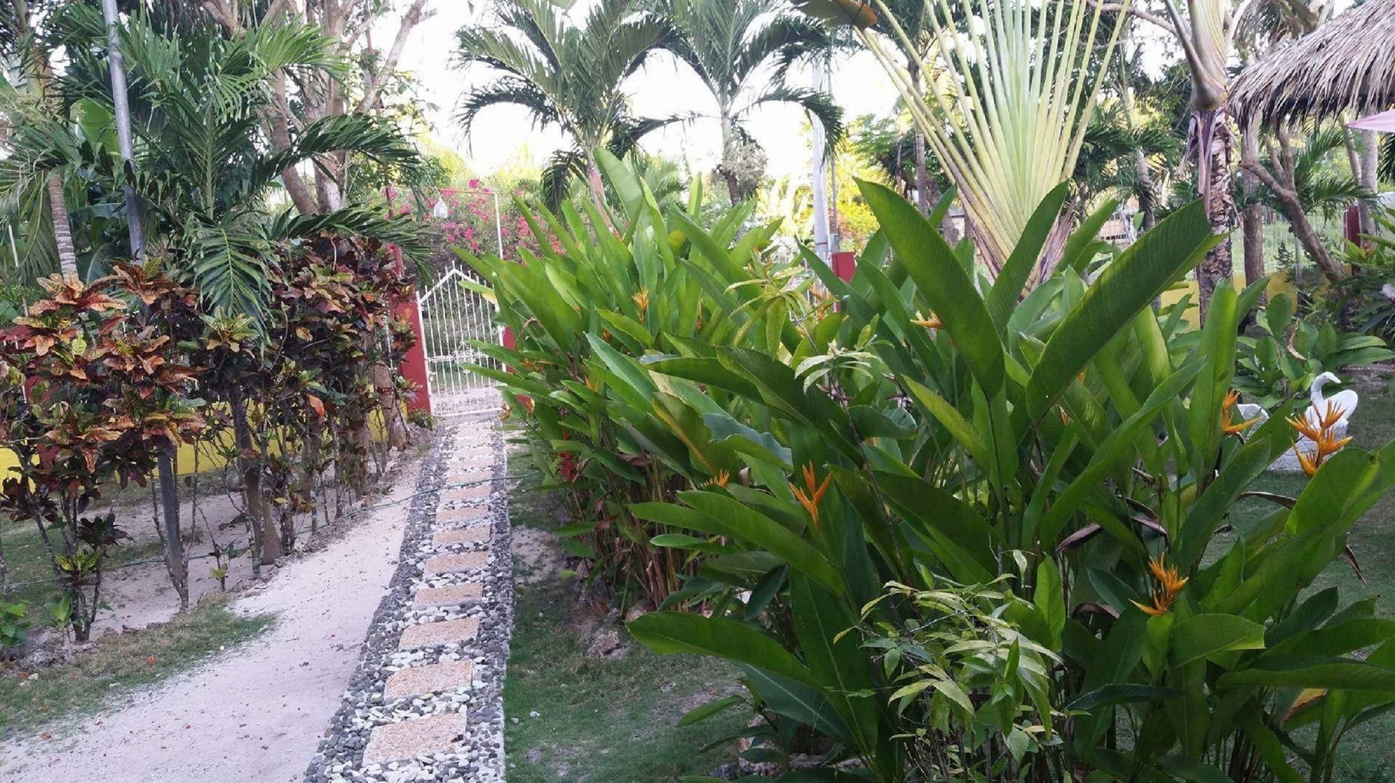 Traville Huts Palm Beach Inn Panglao Esterno foto
