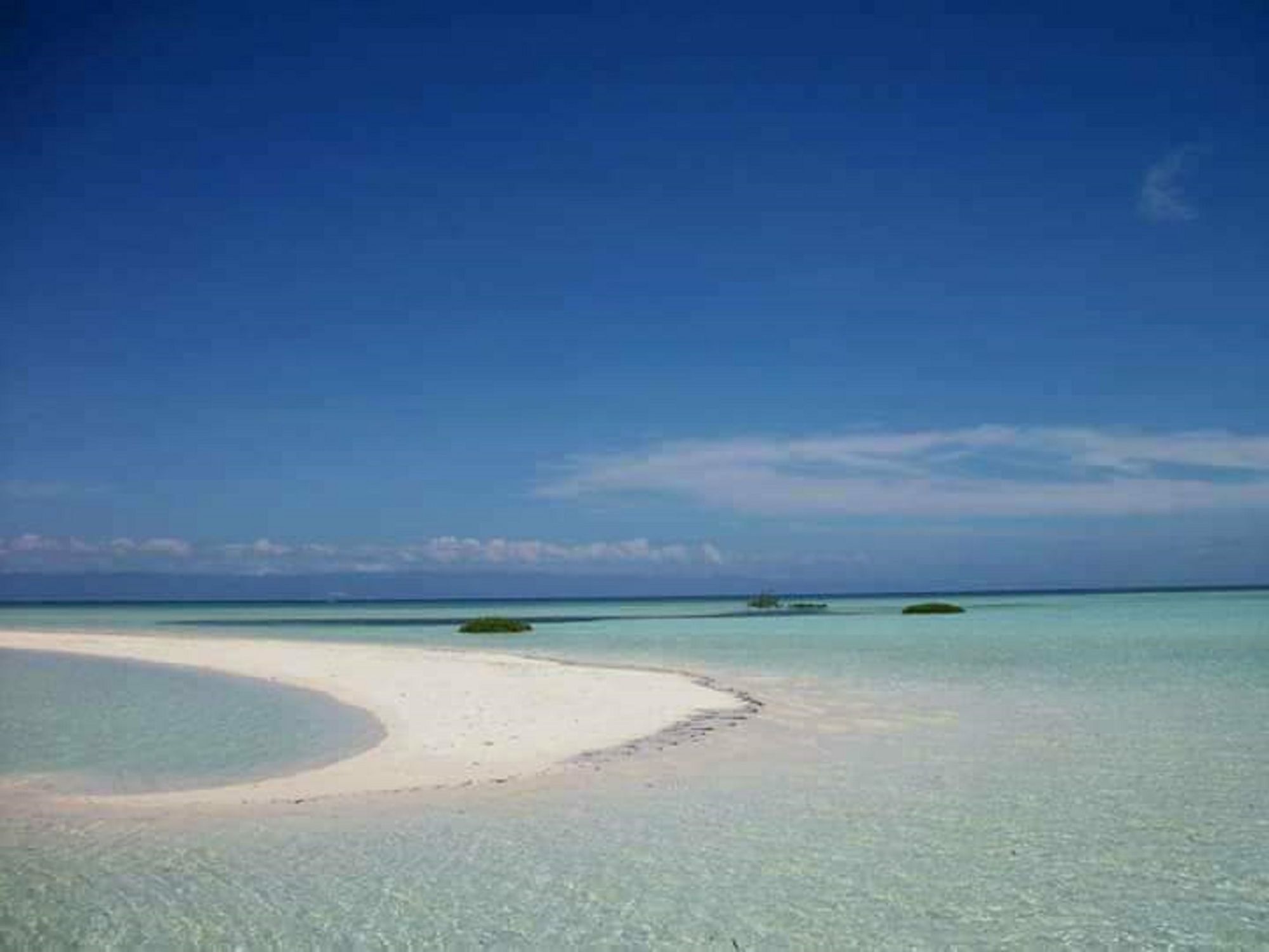 Traville Huts Palm Beach Inn Panglao Esterno foto